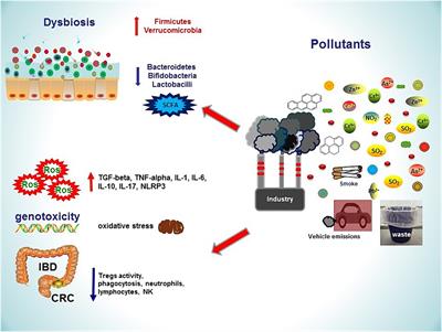 Pollutants, microbiota and immune system: frenemies within the gut